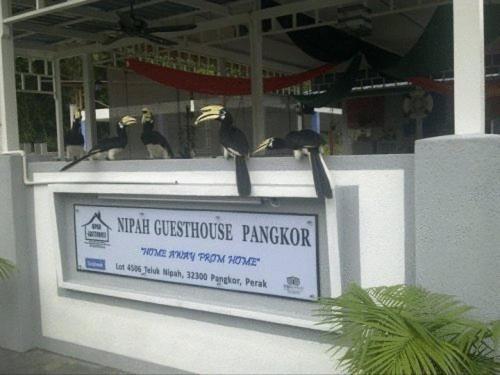 Nipah Guesthouse Pangkor Pekan Pangkor ภายนอก รูปภาพ